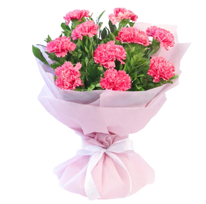 10 Pink Carnations Bouquet - Carnations Florist Malaysia