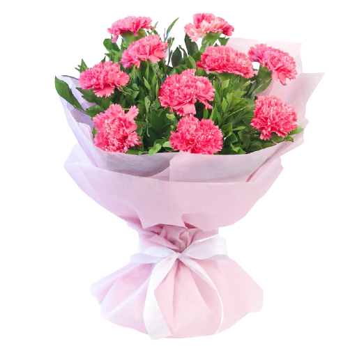 10 Pink Carnations Bouquet - Carnations Florist Malaysia