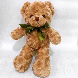 12"  Teddy Bear - Carnations Florist Malaysia