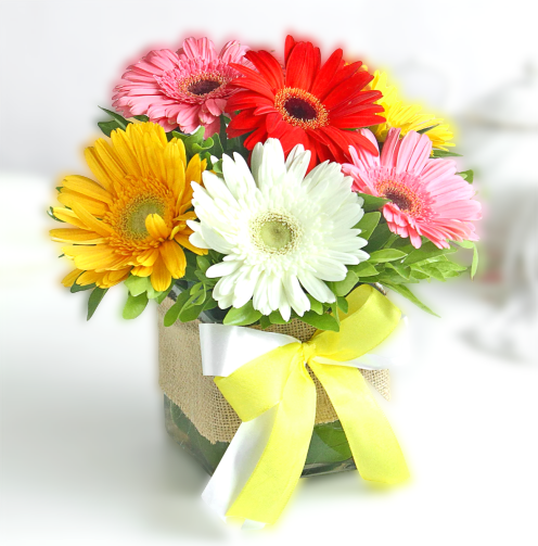 Colorful Gerberas in Vase - Carnations Florist Malaysia