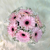 Enchanting Gerberas - Carnations Florist Malaysia