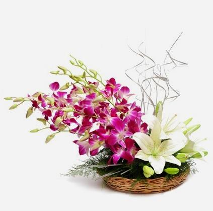 Orchid Lover - Carnations Florist Malaysia