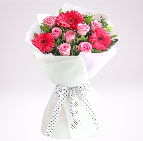Pink Starburst - Carnations Florist Malaysia